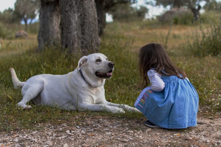 Les avantages d'avoir un animal de compagnie en grandissant